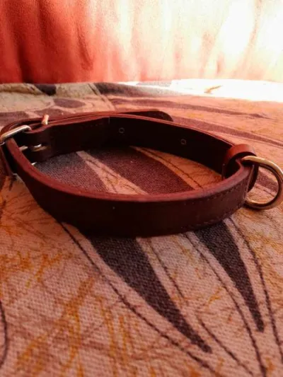 Collier en cuir avec plaque pour chien - photo 2