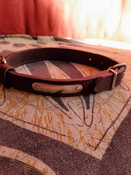 Collier en cuir avec plaque pour chien - Chiens - Saint-Satur (18300)