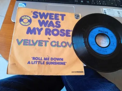 45t " velvet clove " - CD, DVD & Vinyles - Saint-Satur (18300)