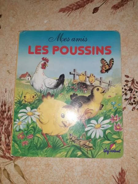 Mes amis les poussins - Livres - Saint-Satur (18300)