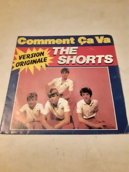 45 t "the shorts " - CD, DVD & Vinyles - Saint-Satur (18300)