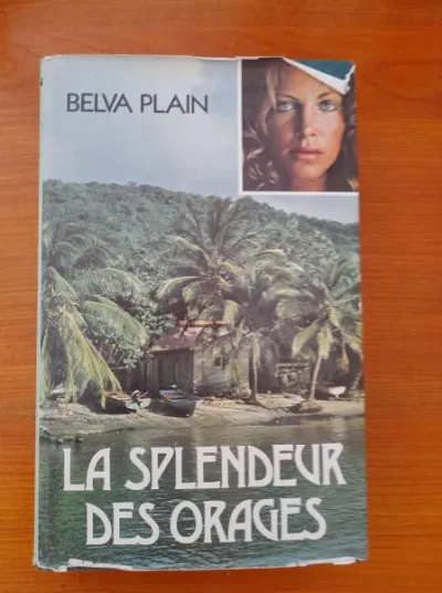 Livre " la splendeur des orages " belva plain - Livres - Saint-Satur (18300)
