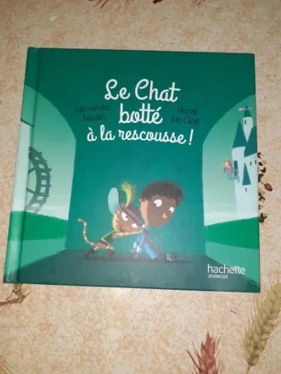 Le chat botté à la rescousse - Livres - Saint-Satur (18300)