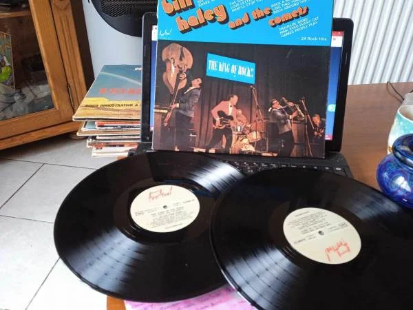 33t " bill haley " - CD, DVD & Vinyles - Saint-Satur (18300)