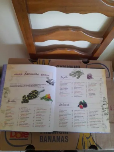 Cuisine des nos régions - provence - photo 2