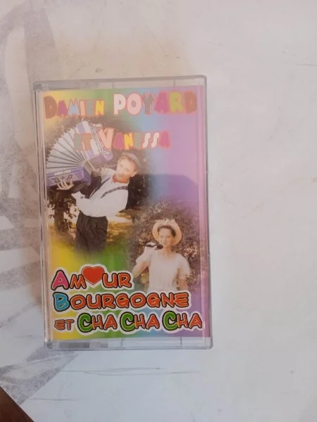 Cassette audio " damien poyard et vanessa " - CD, DVD & Vinyles - Saint-Satur (18300)