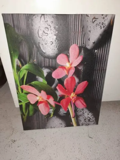 Tableau sur toile fleurs rouge - Décoration - Saint-Satur (18300)