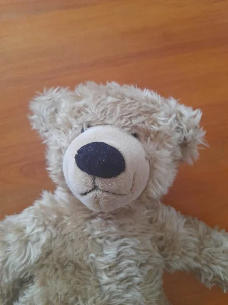 Peluche oursons 43 cm - Jeux & Jouets - Saint-Satur (18300)