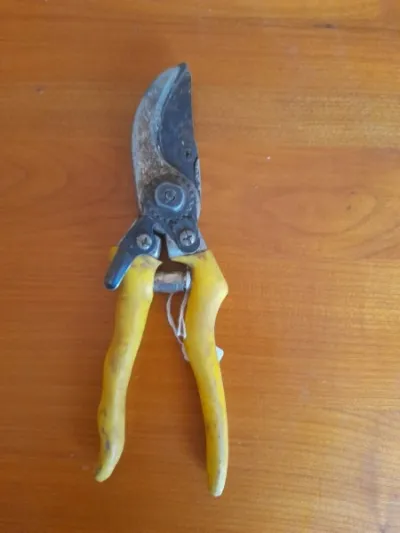 Ancien sécateur en métal et manche plastifié - photo 3