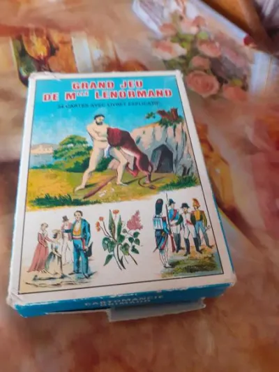 Jeu de 54 cartes avec livret explicatif - Jeux & Jouets - Saint-Satur (18300)