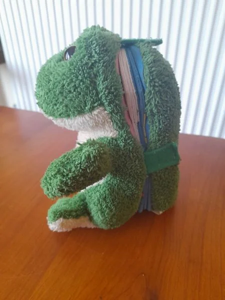 Livre peluche histoire " sidonie la grenouille " - Jeux & Jouets - Saint-Satur (18300)