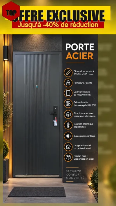 Porte acier aluminium pour local professionnel - Bricolage
