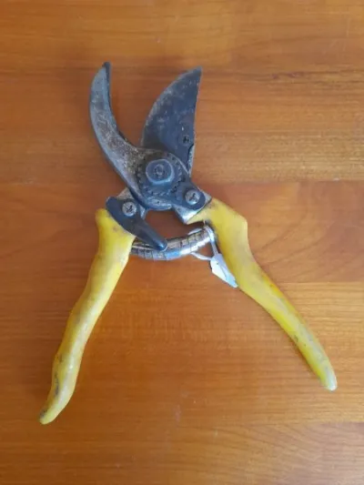 Ancien sécateur en métal et manche plastifié - photo 2