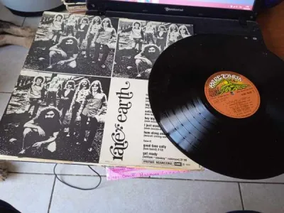 33t " rare earth " - CD, DVD & Vinyles - Saint-Satur (18300)