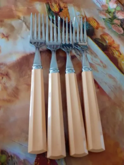 Lot 4 fourchettes inox et manche plastique - Collection - Saint-Satur (18300)