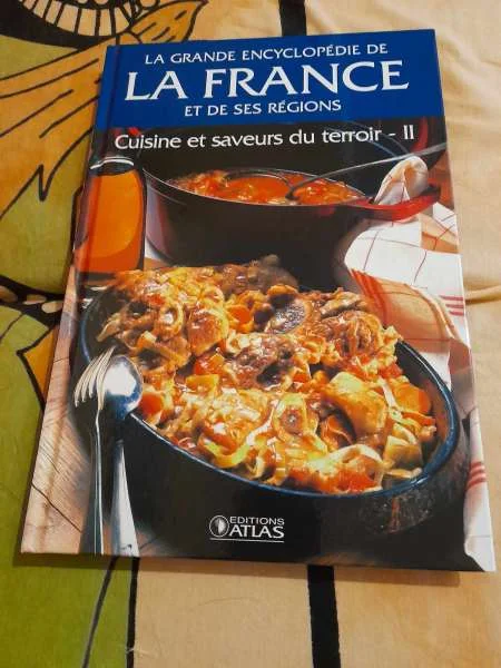 La grandes encyclopédie de france et de ses région - Livres - Saint-Satur (18300)