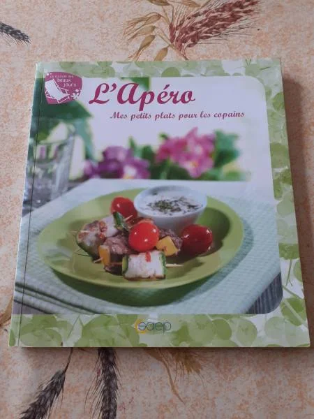 Livre l'apéro " mes petits plats pour mes copains" - Livres - Saint-Satur (18300)