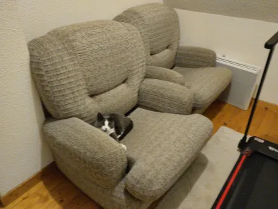 Vends deux fauteuils - Meubles - Corbelin (38630)