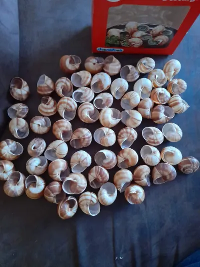 Chantifrais - Boite de 44 coquilles d' Escargots - photo 3