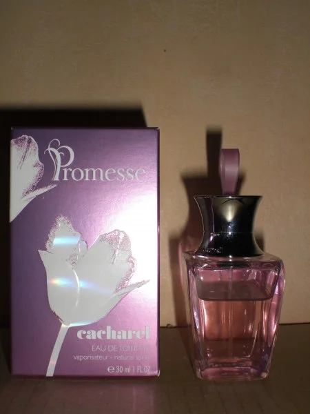 Parfum celine dion ou promesse de cacharel neuf - Beauté & Bien-être - Sochaux (25600)