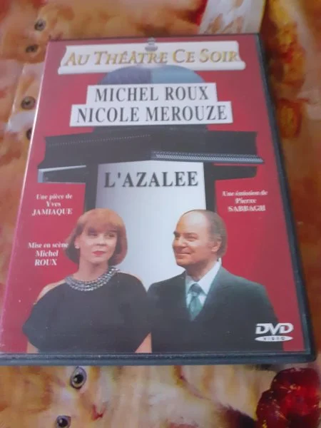 Dvd au théatre ce soir " l'azalée" - CD, DVD & Vinyles - Saint-Satur (18300)
