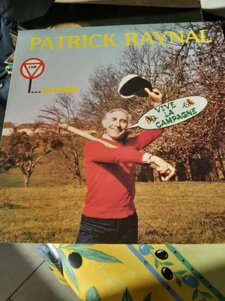 33 t " patrick raynal " - CD, DVD & Vinyles - Saint-Satur (18300)