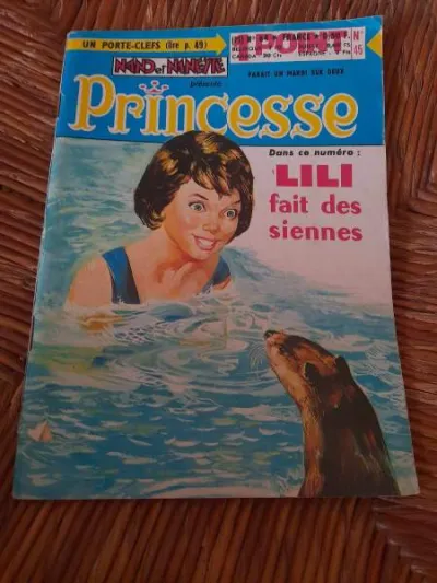 Magazine bd nand et nanette -n°45 princesse - Livres - Saint-Satur (18300)