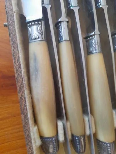 Coffret 12 couteaux de table apollo - Collection - Saint-Satur (18300)