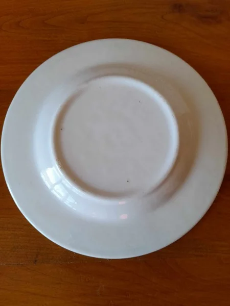 1 assiette à déssert - décoration provence - Collection - Saint-Satur (18300)