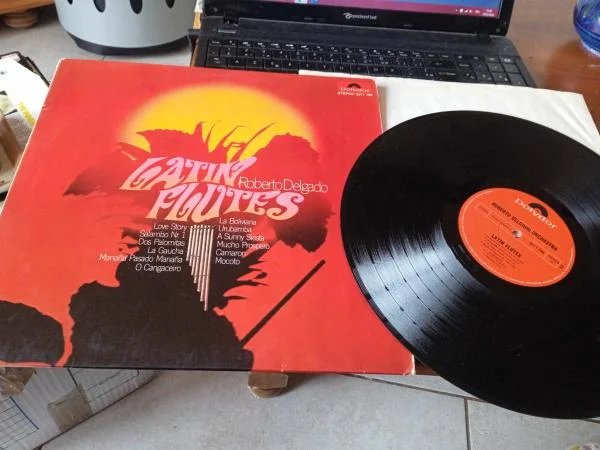 33t " roberto delgado " - CD, DVD & Vinyles - Saint-Satur (18300)