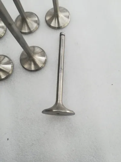 Soupapes pour moteur Maserati Indy - photo 2