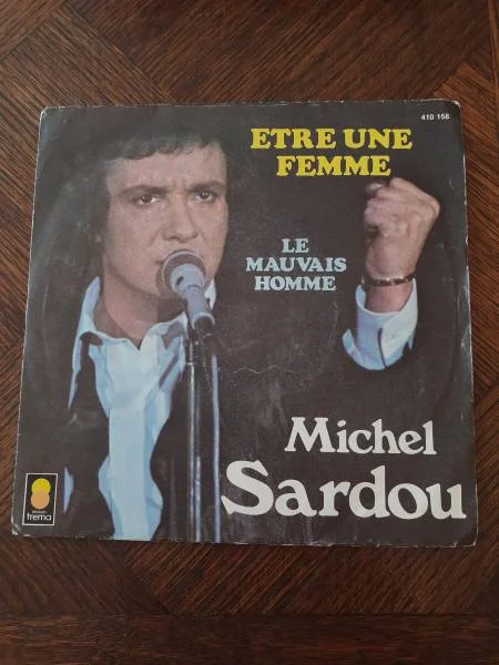 45 t "michel sardou" - CD, DVD & Vinyles - Saint-Satur (18300)
