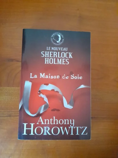 Livre le nouveau sherlock holmes- la maison de soi - Livres - Saint-Satur (18300)