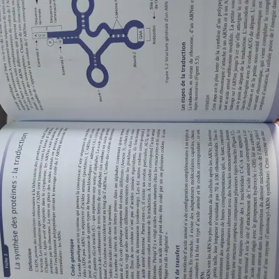 Livre biologie cellulaire dunod 3eme édition - photo 3