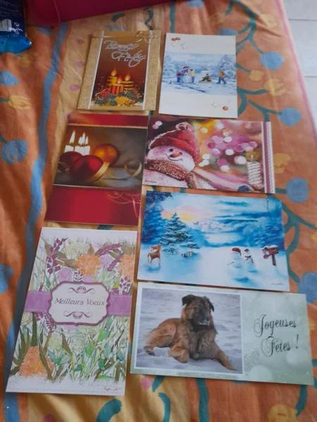 Lot 7 cartes postales spéciales fetes - Collection - Saint-Satur (18300)