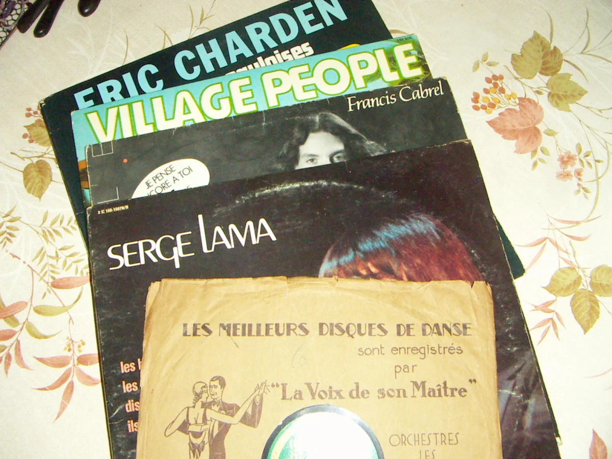 Vinyls de variété (5) - CD, DVD & Vinyles - Malakoff (92240)