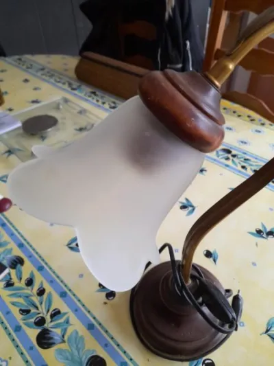 Lampe de table col de cygne - globe tulipe - Décoration - Saint-Satur (18300)