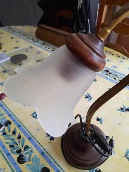 Lampe de table col de cygne - globe tulipe - Décoration - Saint-Satur (18300)