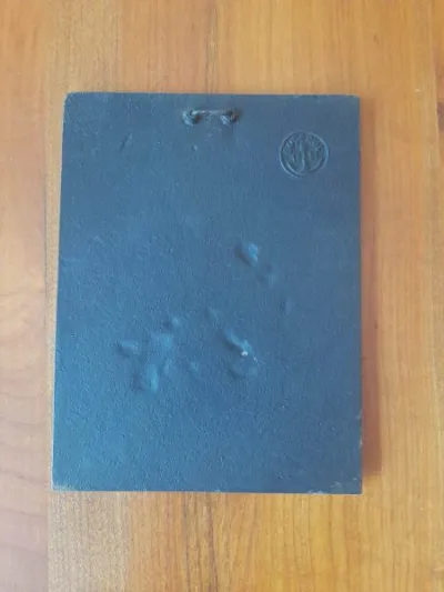 Ancienne petite plaque en fonte 1951 - naissange - Décoration - Saint-Satur (18300)