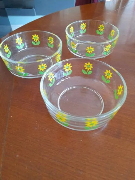 Lot 3 coupelles à fruit en verres - Collection - Saint-Satur (18300)