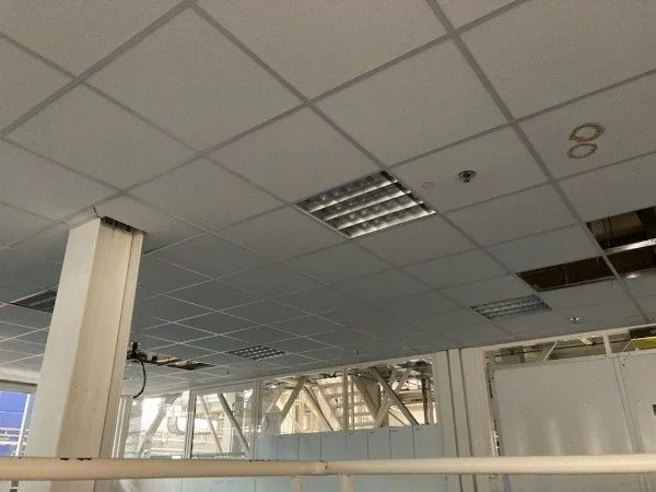 Dalle de faux plafond 60x60 - BTP & Chantier - Blagnac (31700)