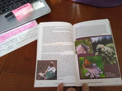 Livre " guide des papillons " - photo 2