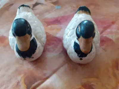 Ensemble sel et poivre canard - Collection - Saint-Satur (18300)