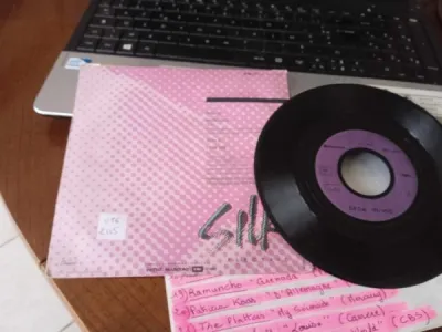 45 t " diana ross " - photo 2