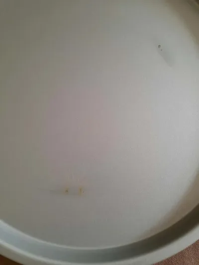 Plat , Plaque à Pizza Rond en Métal - Plat à tarte - photo 2