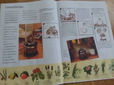 Aspirateur filter queen - photo 4