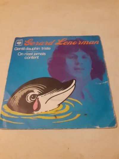 45 t " gérard lenorman" - CD, DVD & Vinyles - Saint-Satur (18300)