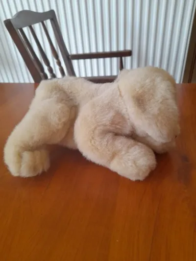 Peluche chien 20 cm - photo 2