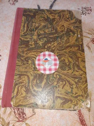 Ancien album ames vaillantes n° 27 à 52 - Livres - Saint-Satur (18300)