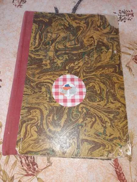 Ancien album ames vaillantes n° 27 à 52 - Livres - Saint-Satur (18300)